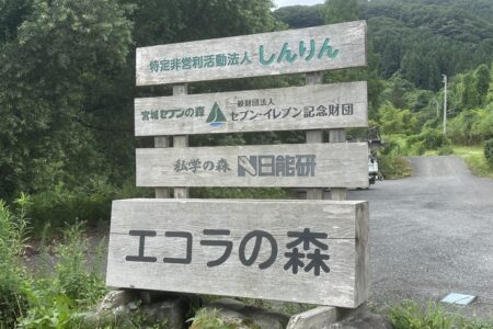 乱伐された森林を再生へ。企業と共に、エコラの森で森林資源の循環を実現